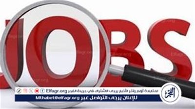 أحدث الوظائف الحكومية 2024 عبر بوابة الوظائف الحكومية.. تعرف على المؤهلات والشروط المطلوبة