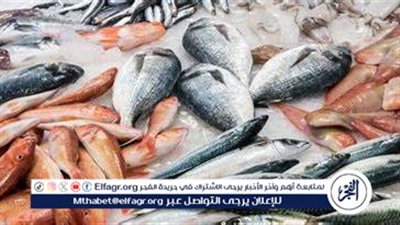 أسعار المأكولات البحرية والجمبري اليوم الثلاثاء 15-10-2024 في محافظة الدقهلية 