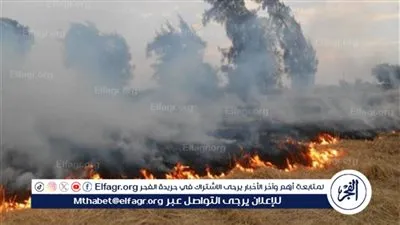 الزراعة والبيئة يتابعان منظومة جمع وتدوير قش الأرز ومكافحة السحابة السوداء بالشرقية 