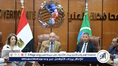محافظ المنيا يشارك في ختام ورشة عمل وزارة التخطيط لإعداد دراسات جدوى مشروعات الخطة الاستثمارية لعام 2025/2026
