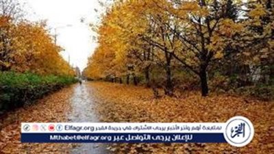 عاجل- الخريف يقترب.. الأرصاد تكشف موعد تراجع الحرارة وانكسار الرطوبة