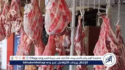 أسعار اللحوم البلدي والضاني اليوم السبت 21-9-2024 في الأسواق ومحال الجزارة في المنيا
