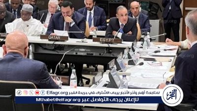 عاجل - مصر تؤكد دعمها الحاسم للقضية الفلسطينية وترفض بشدة أي خطط لتهجير الشعب الفلسطيني