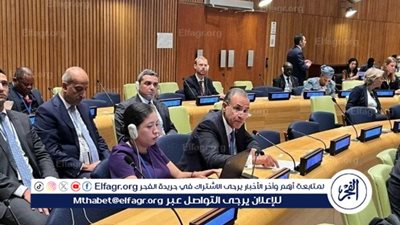 عاجل - وزير الخارجية يطالب بإصلاح المؤسسات المالية الدولية: الدول النامية تحت ضغط الأزمات العالمية المتشابكة