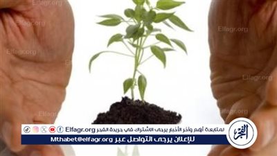 5 موارد لصندوق الوقف الخيري بالقانون الجديد.. تعرف عليهم