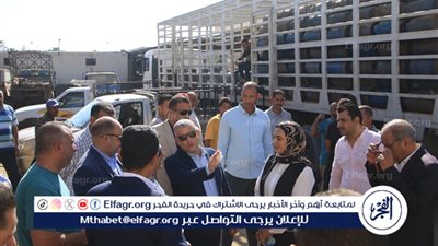 محافظ الإسماعيلية يمر على مستودعات البوتاجاز بأبوبلح والضبعية