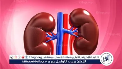 أمراض الكلى: أسبابها وأعراضها وطرق الوقاية