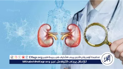 أمراض الكلى: كيفية الحفاظ على صحة الكلى وأهمية الوقاية