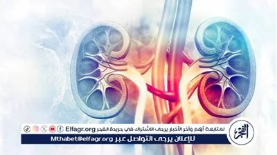أمراض الكلى: التعريف والأعراض والعوامل المساهمة