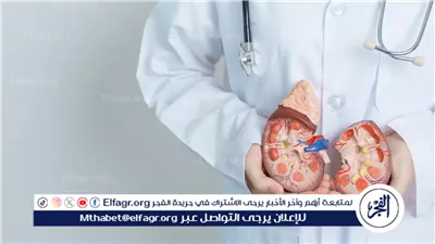 حصوات الكلى: المخاطر وطرق العلاج