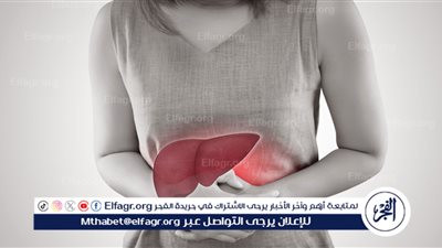 أمراض الكبد: المخاطر والعلاج المناسب 