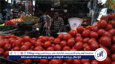 ارتفاع أسعار الطماطم والبطاطس في مصر: الأسباب والتوقعات