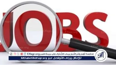 عاجل - رابط رسمي الآن.. الاستعلام عن نتيجة وظيفة محصل بشركة مياه الدقهلية 2024