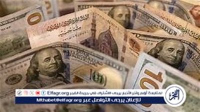 استقرار سعر الدولار مقابل الجنيه المصري: تطورات اليوم