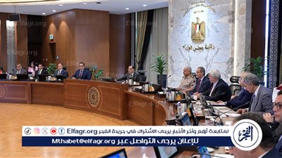 عاجل - مصر بين الأزمات الإقليمية والتطورات الاقتصادية.. الحكومة تقود استراتيجية متوازنة للنمو