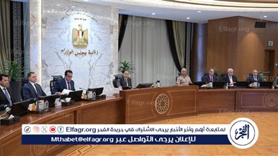عاجل - الحكومة توافق على انضمام مصر لبروتوكول الميثاق الأفريقي لحماية حقوق ذوي الإعاقة