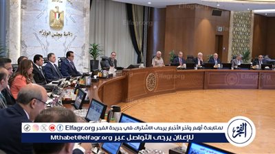 عاجل - الحكومة تقر دمج 