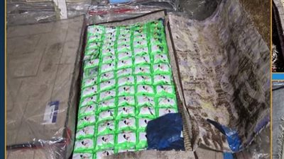 إخلاء سبيل 7 متهمين في قضية ضبط مخدرات داخل حاوية بميناء بورسعيد