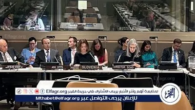 أبو الغيط: غزة لا زالت تتزف والعالم يقف صامتًا مكتفيًا بالمشاهدة والوقوف على الحياد