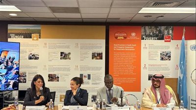 المشاط: نعمل على جمع الأطراف ذات الصلة لدفع التعاون جنوب جنوب