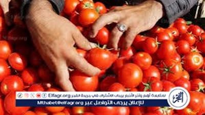 عاجل - 25 جنيهًا للطماطم و10 جنيهات لليمون.. متوسط أسعار الخضروات والفاكهة اليوم