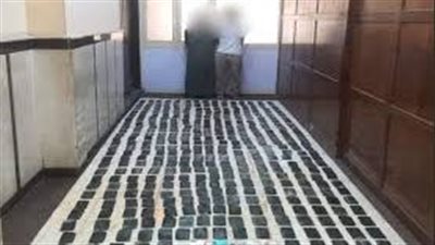 ضبط 40 كيلو حشيش بقيمة 3 مليون جنيه في الإسكندرية