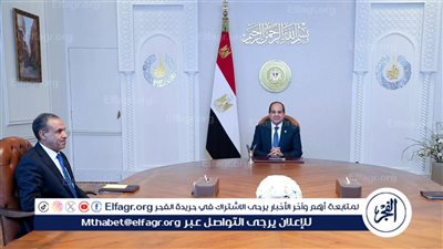 عاجل| الرئاسة تكشف تفاصيل اجتماع السيسي مع وزير الخارجية والهجرة