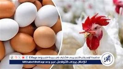 ارتفاع أسعار البيض في مصر: أسباب وتداعيات على الأسر المصرية