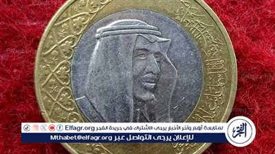 استقرار سعر الريال السعودي مقابل الجنيه المصري اليوم 5 أكتوبر 2024