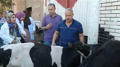 بيطري المنوفية تنظم قوافل علاجية مجانية في القرى