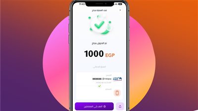 التحويلات المالية المعلقة أثناء عطل «إنستاباى» ستنفذ خلال ساعات قليلة ( تفاصيل )
