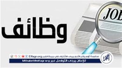 القوى العاملة بالقليوبية: توفير 323 فرصة في شركات ومصانع بمرتبات مجزية