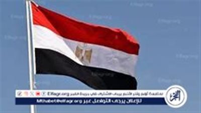 وزارة الخارجية المصرية ترحب بدعوة ماكرون لوقف تصدير السلاح إلى إسرائيل