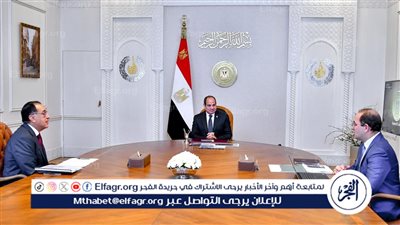 عاجل| السيسي يصدر توجيها جديدا لوزير المالية 