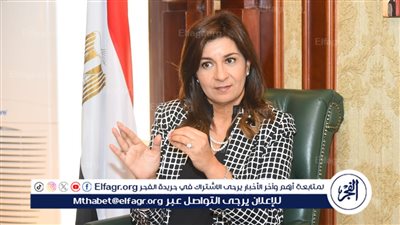 نبيلة مكرم عن التعاون بين التحالف الوطني وموانئ دبي: 