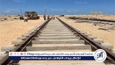 أستاذ هندسة الطرق يكشف أهمية عودة قطارات السكة الحديد إلى سيناء بعد 50 عاما (فيديو)