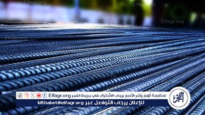 أسعار الحديد في المنيا اليوم الأربعاء 24 سبتمبر 2025