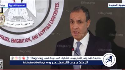وزير الخارجية: أشيد بالعلاقات الثنائية بين مصر وبوليفيا ونسعى إلى تطويرها (فيديو)