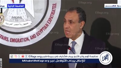 وزير الخارجية: نفخر بأن تحالف مصري بحت هو مصمم سد جوليوس نيريري