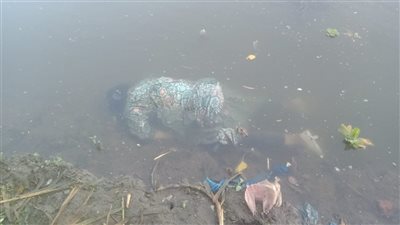 العثور على جثة مجهولة الهوية طافية على بخر ساقية أبو شعرة بالمنوفية