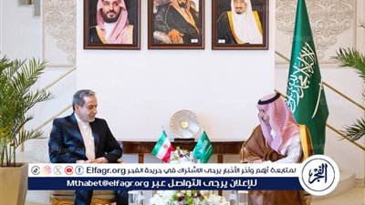 وزير الخارجية ونظيره الإيراني يبحثان مستجدات المنطقة