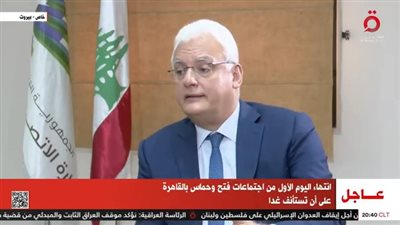 أول تعليق من وزير الاتصالات اللبناني بشأن مخزون الكهرباء وخدمات الإنترنت 