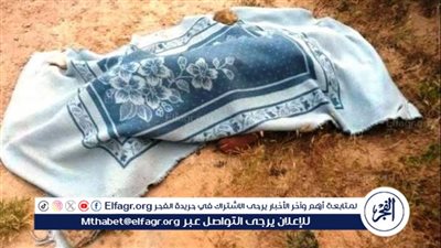 مقتل شاب على يد شقيقه في الإسماعيلية