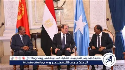 خبير يكشف دلالات زيارة السيسي إلى إريتريا