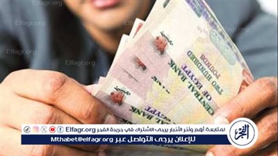 أفضل شهادات الادخار بأعلى عائد في البنوك المصرية (تفاصيل)