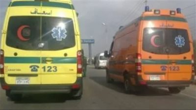 مصرع شابين في حادث تصادم بالشرقية