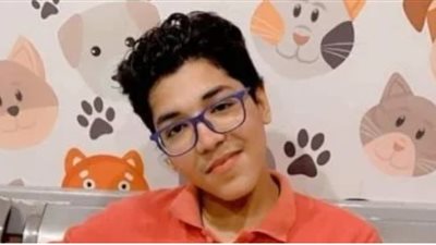 تفاصيل مقتل طفل وإصابة آخر على يد شاب مجهول الهوية في الإسكندرية 