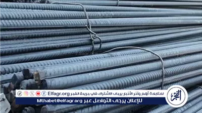 أسواق البناء تهتز: الحديد والأسمنت يشهدان أكبر تراجع في الأسعار لهذا العام