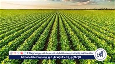 نصائح للمزارعين لتفادي خسائر وتلفيات المحاصيل بسبب الأجواء المناخية (فيديو)