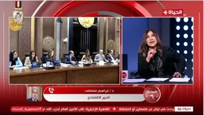 هل تبيع الدولة أصولها في المطارات والبنوك؟ اقتصادي يُجيب